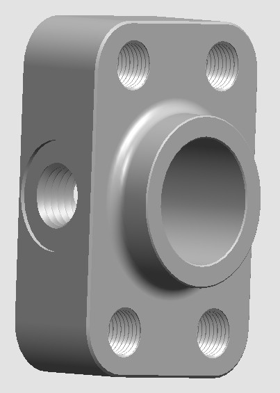 Non-standard FLANGE